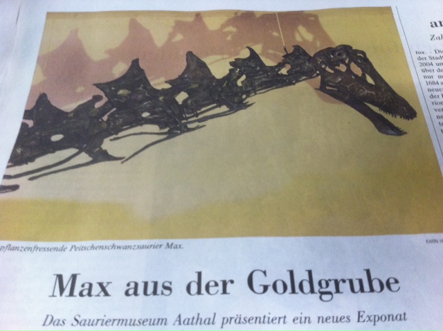 Max Goldgrube NZZ